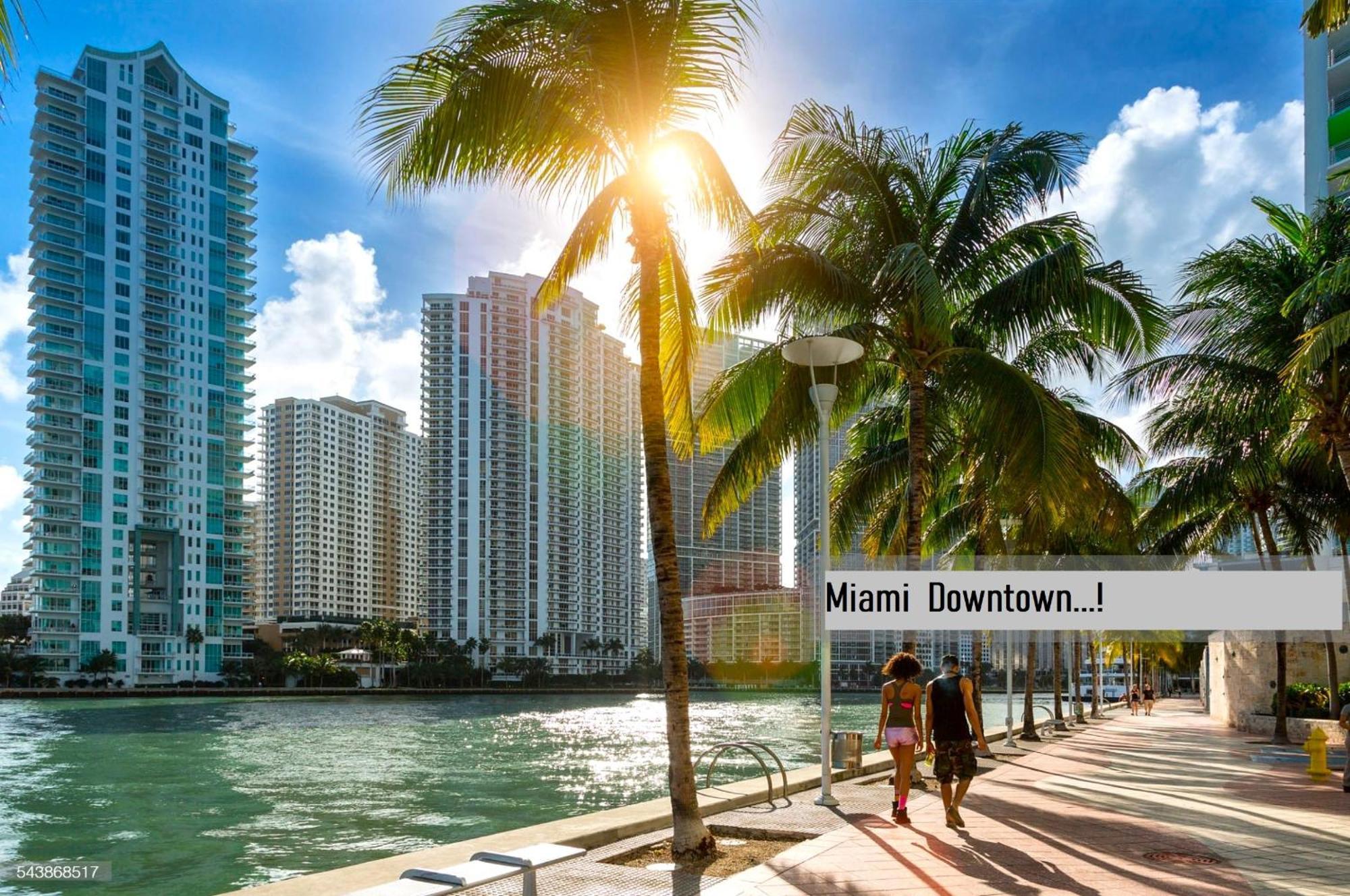 Experience The Perfect Miami Life!! Centrally Located Luxury Condo! Екстер'єр фото